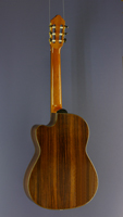 Albert & M&uuml;ller Fusion Classical Guitar cedar, rosewood, cutaway, AER-pickup