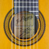 Jos&eacute; Ramirez 1a, 8-string Guitar cedar, rosewood, 1991, rosette, label