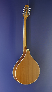 Irish Bouzouki Richwood, R&uuml;ckseite